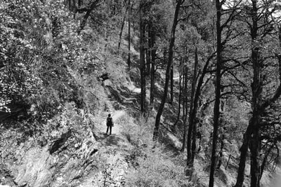 黑白的一个孤独的旅行者站在树木繁茂的山坡上的污垢痕迹
